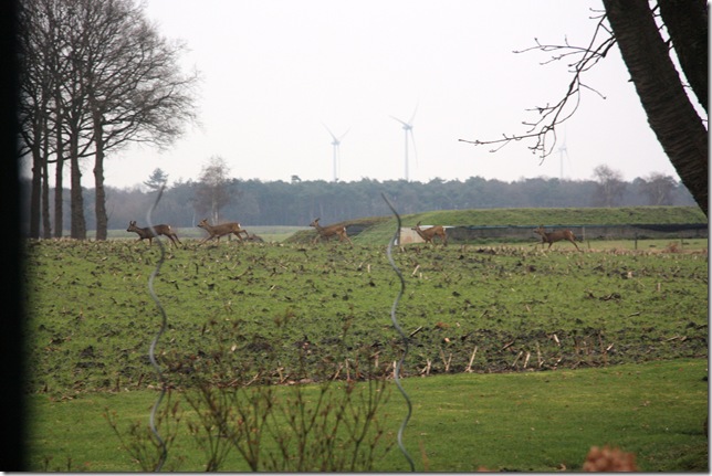 20090117-1409-42(2) 20090117-1409-42(2)