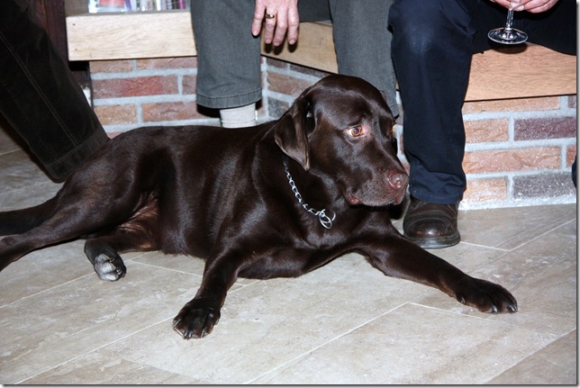 20090117-2210-50 (2) 20090117-2210-50 (2)