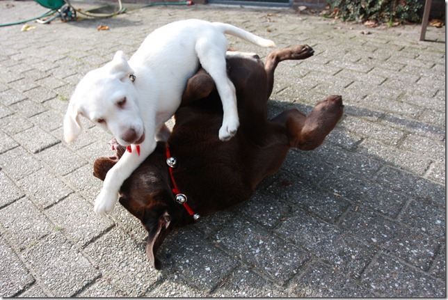 20091028-1250-07 20091028-1250-07