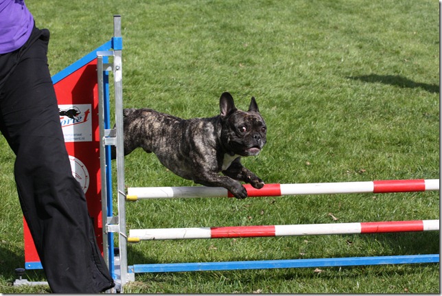 20110410-1042-18(001)