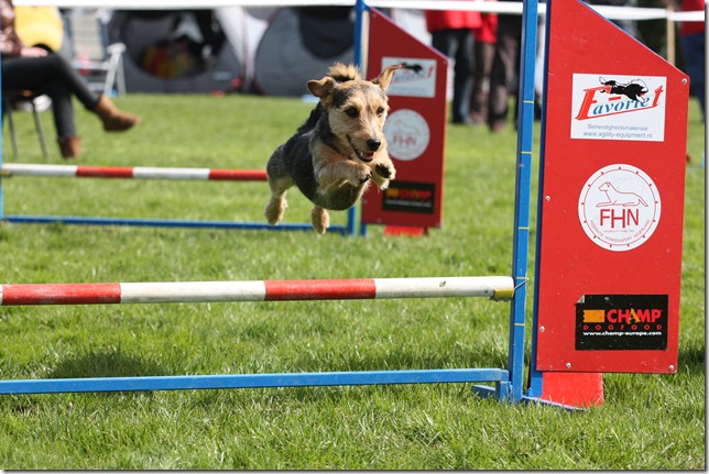 20110410-1116-02(001)