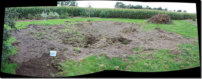 20110921-1216-59 Stitch