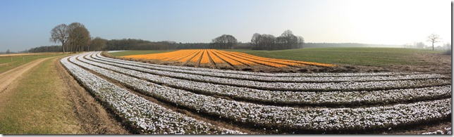 20120315-1038-34 Stitch