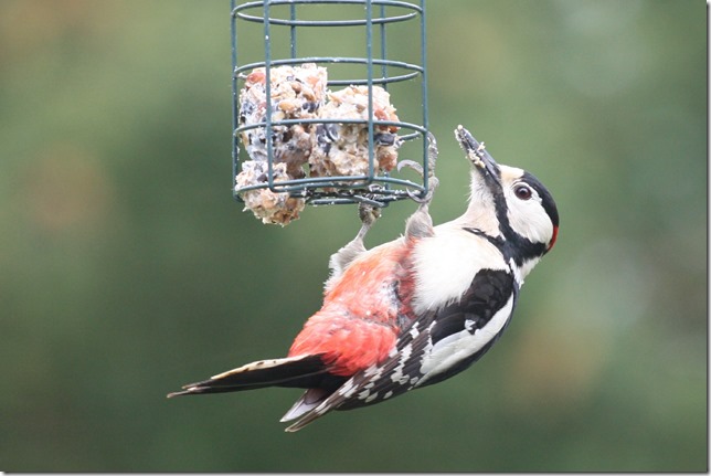 20120503-1654-03(001)