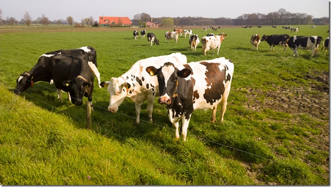 WP_20140330_11_04_17_Raw__highres