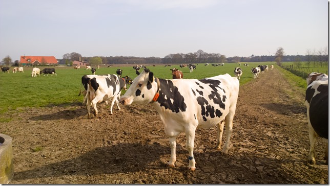 WP_20140330_11_14_53_Raw__highres