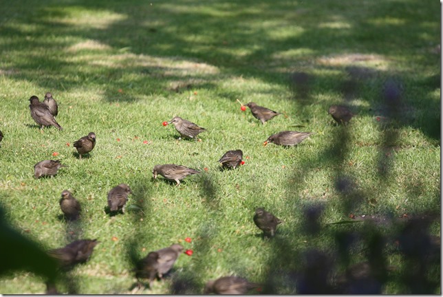 20140601-1652-20(001)