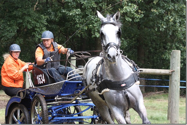 20140713-1353-39(001)