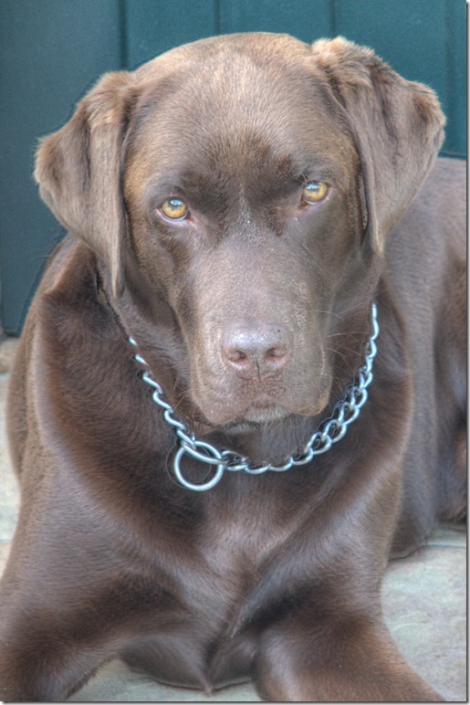 20080724-2007-24(1)_(2)__edit_080726