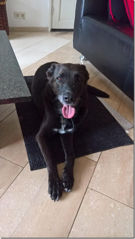 20180501-1233-27(001)